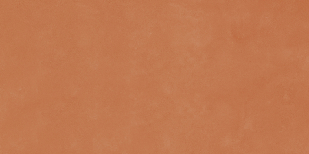 RETINA [4]