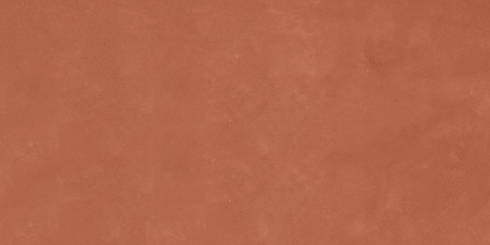 RETINA [12]