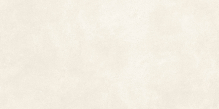 RETINA [25]