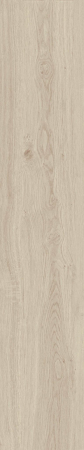 ROBUR [5]