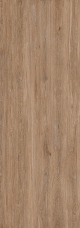 Sugi [2]