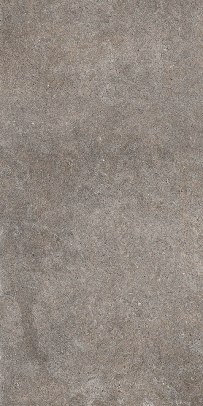 WALK [15]