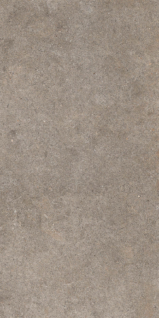 WALK [19]