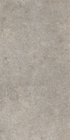 WALK [7]