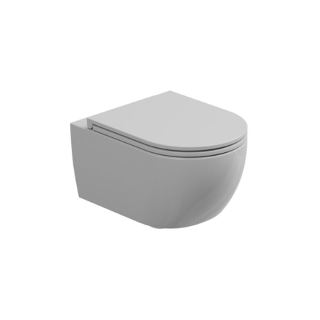 PROMOTII - WC SUSPENDAT