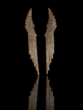 Accesorii - Cercei