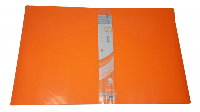 Dosar cu 20 folii [2]
