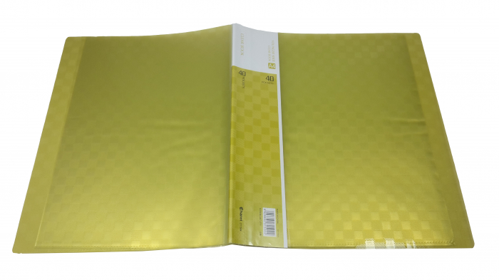 Dosar cu 40 folii [2]