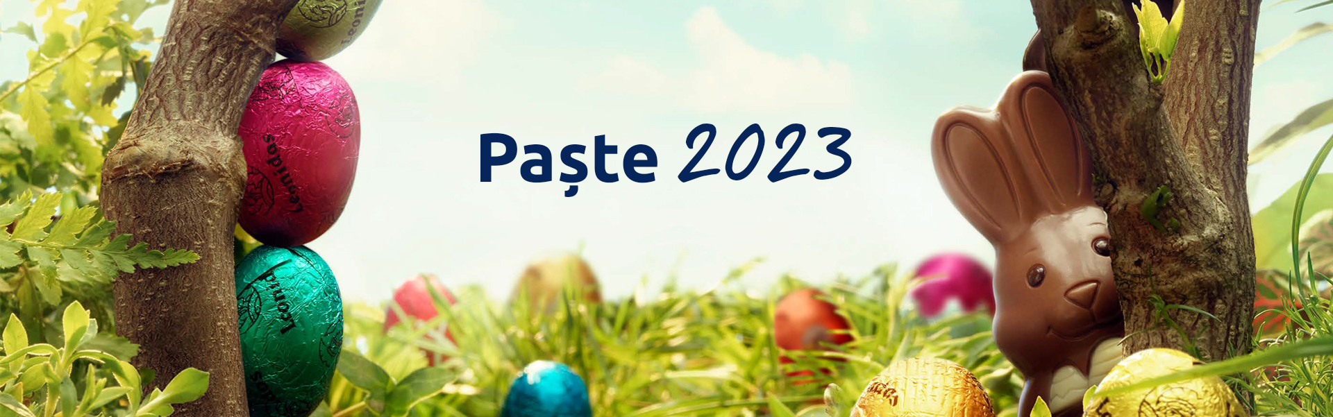 Paste2023