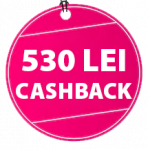 Cashback Epson 530