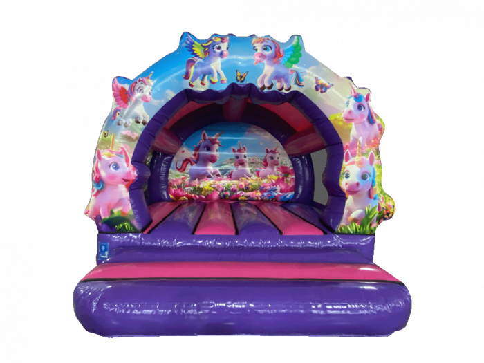 Gonflabila 3D 3.8 x 4.2 x 3.2 CTYAQ9235 [2]