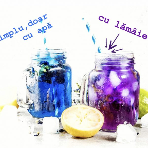 Pudra De Butterfly Pea ECO 70g [3]