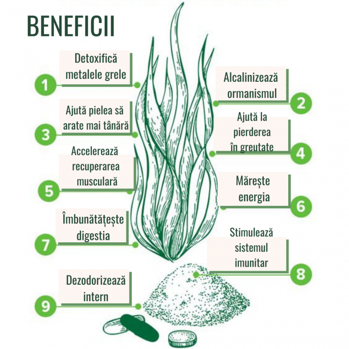 Chlorella Pudră Ecologică 125/250g [2]