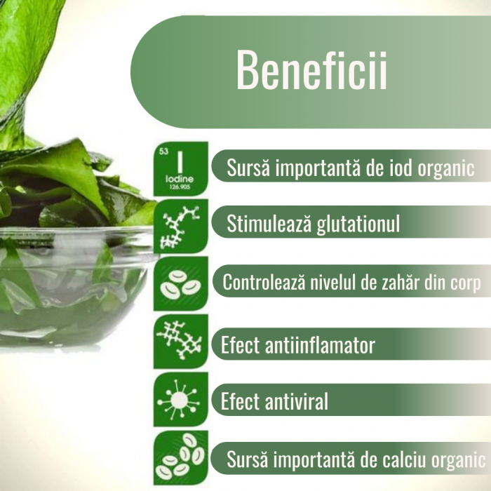 Kelp Pudră Ecologică Crudă 250g [2]
