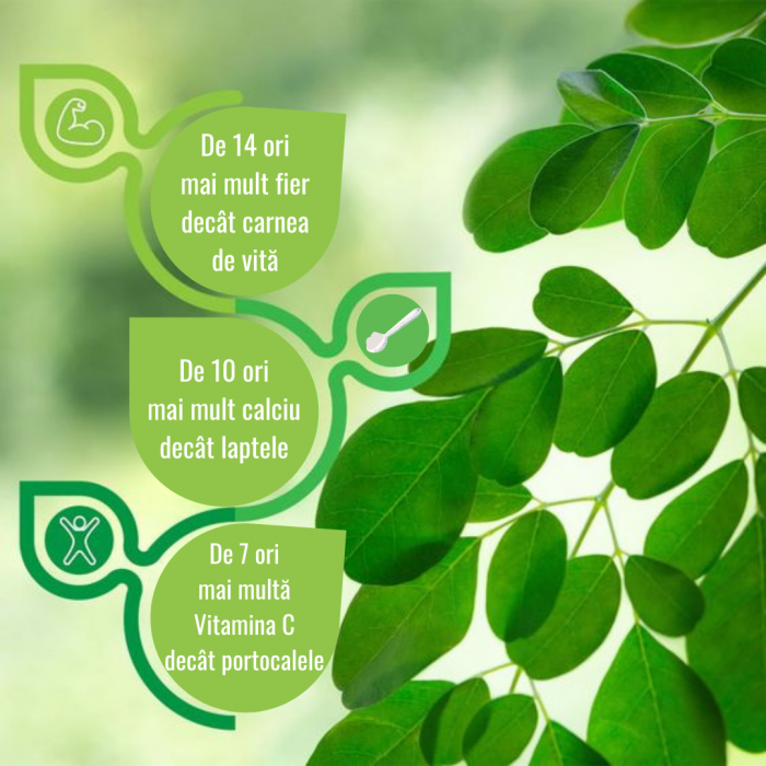 Moringa Pudră Ecologică 125g [2]