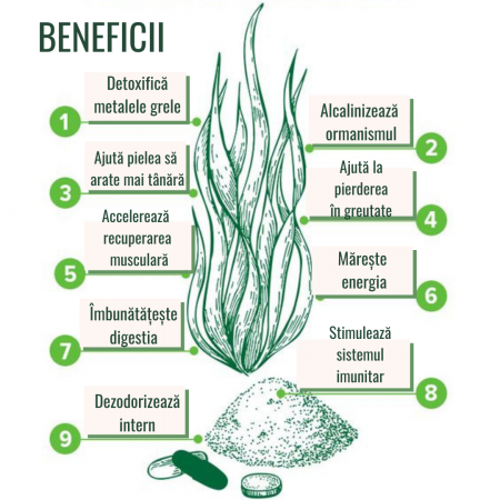 Chlorella Pudră Ecologică 125/250g [1]