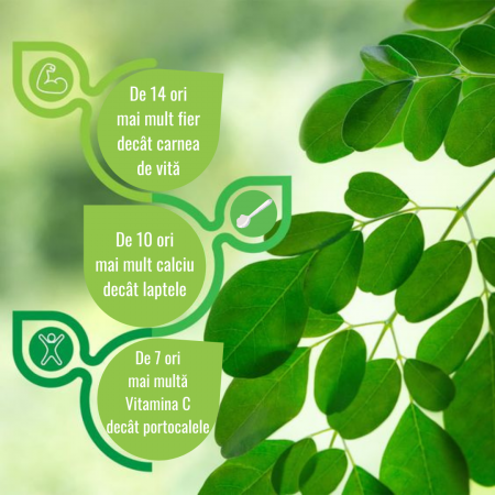 Moringa Pudră Ecologică 125g [1]