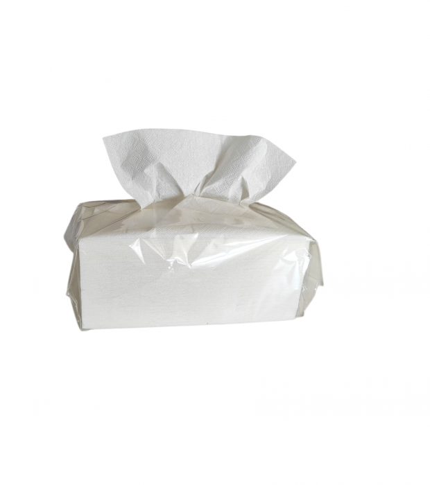 Prosop pliat V cu ioni de argint, alb, 120 buc/ pachet [3]