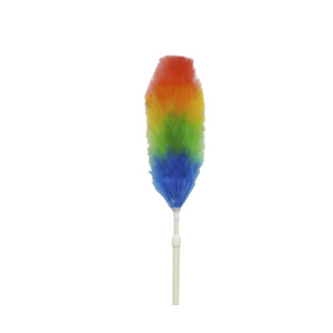 Pamatuf praf - Pamatuf praf - antistatic, cu maner telescopic