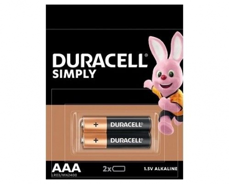 Baterii și Acumulatori - BATERII DURACELL R3 AAA, 2 BUC/SET