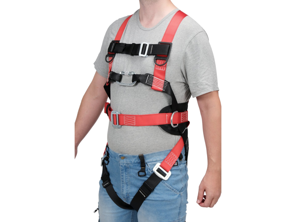 SAFETY HARNESS WITH WAISTBELT [3]