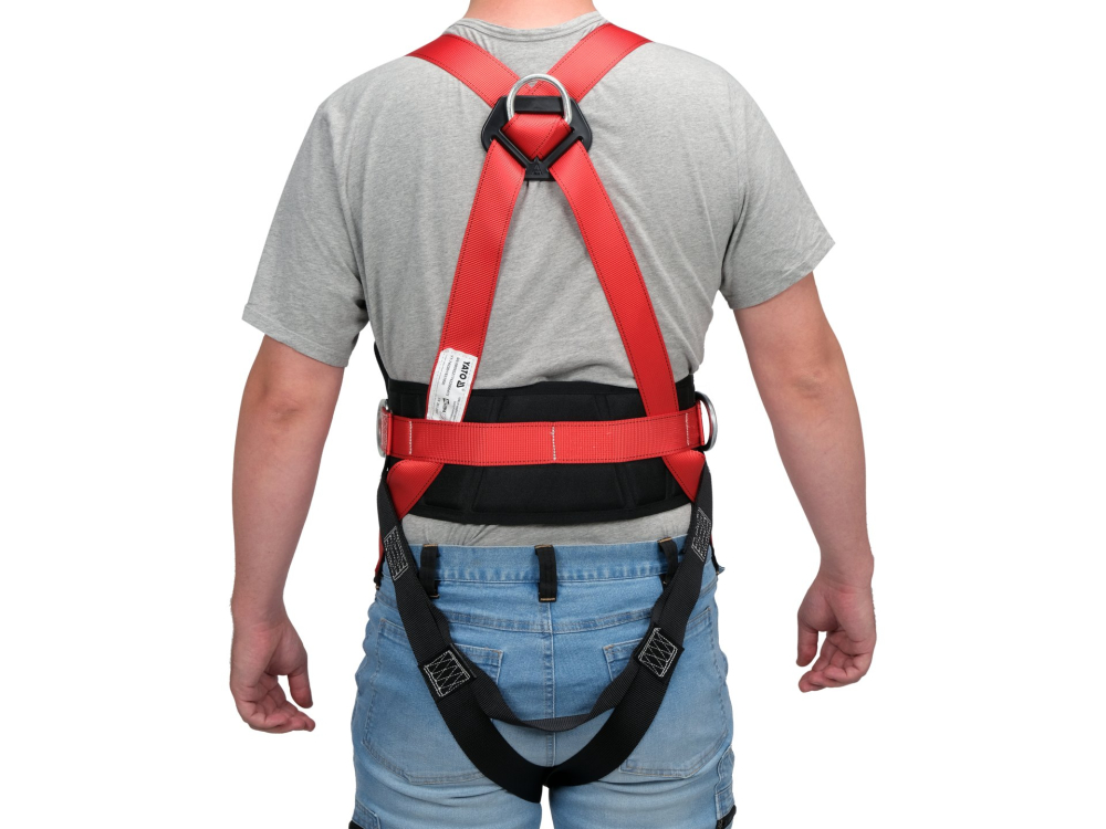 SAFETY HARNESS WITH WAISTBELT [4]