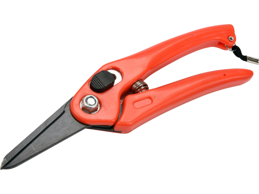 PRUNER [2]