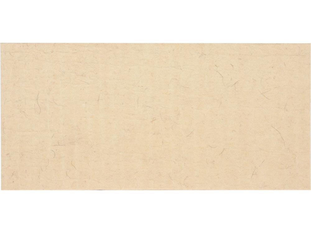 FELT FLOAT TROWEL 8MM 270X130MM [3]