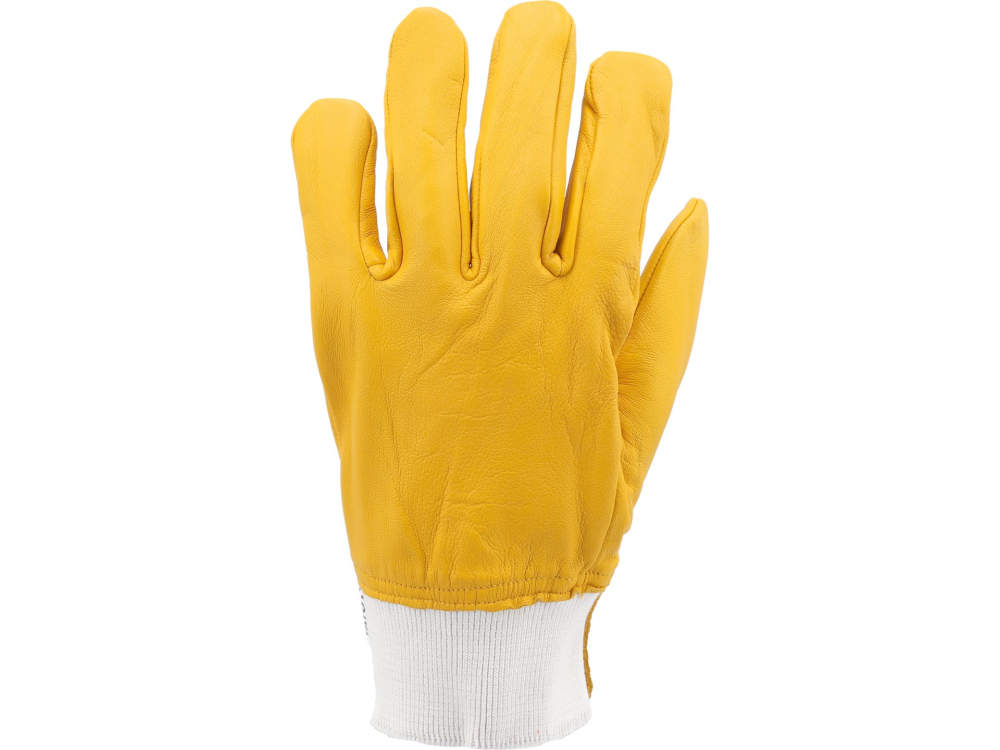 DRIVER GLOVES SIZE: 10 [3]