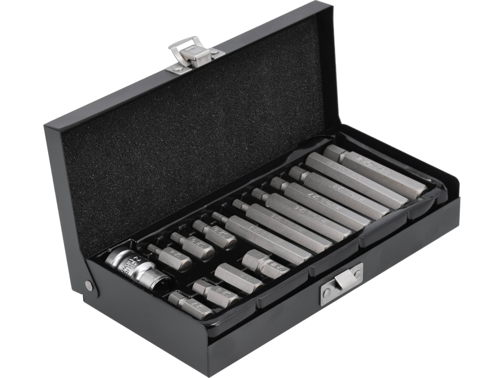 SCREWDRIVER BIT SET HEX 15 PCS [3]