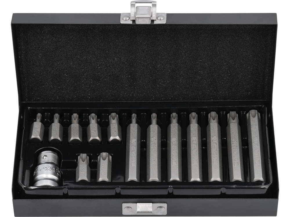 SCREWDRIVER BIT SET TORX 15 PCS [2]