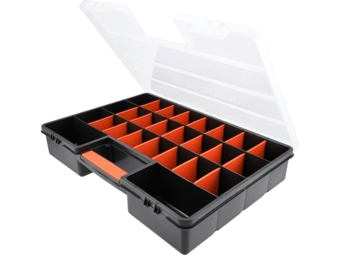 ORGANIZER [1]