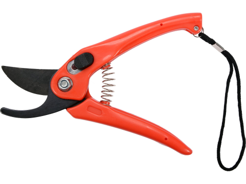 PRUNER [1]