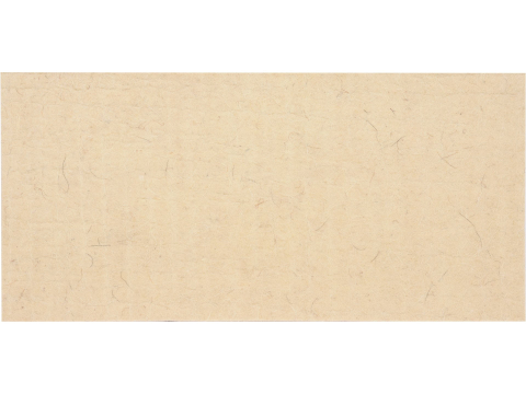 FELT FLOAT TROWEL 8MM 270X130MM [2]