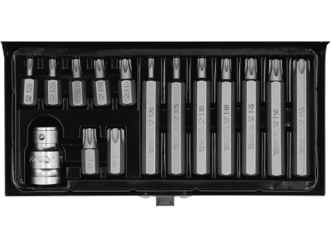 Insurubare - SCREWDRIVER BIT SET TORX 15 PCS