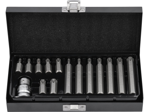 SCREWDRIVER BIT SET TORX 15 PCS [1]