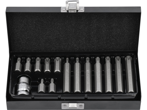 SCREWDRIVER BIT SET TORX SECURITY 15 PCS [1]