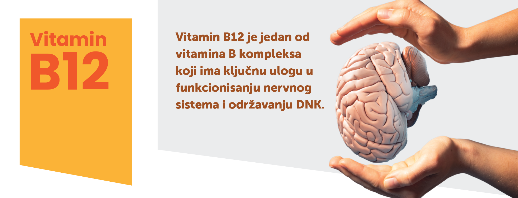 Vitamin B12 - zašto je važan i značajan?