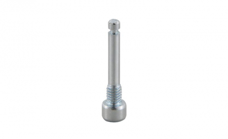 Frane - Surub de blocare a placutelor M4 x 22 mm, Avid / Sram (Elixir, Code, Guide, Trail)