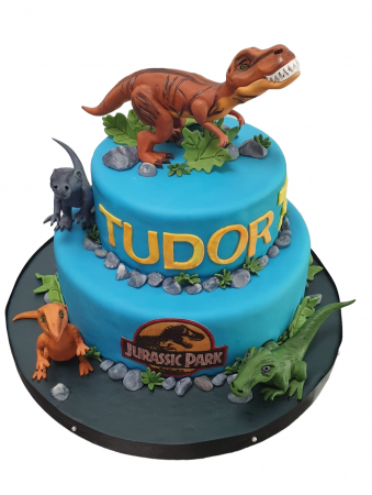 Torturi Copii Fete - Tort copii Jurassic Park
