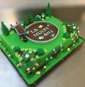 Torturi aniversare - Tort gradina