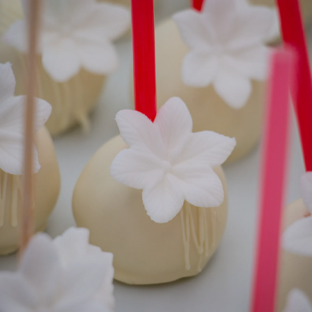 Candybar - White Lollypops