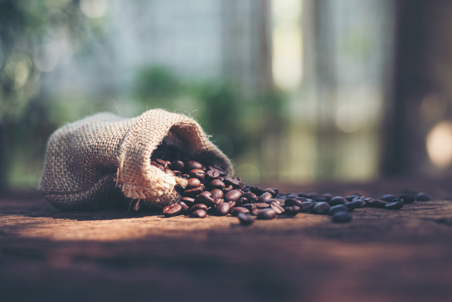 Cum să îți alegi cafeaua de origine în funcție de preferințele tale gustative