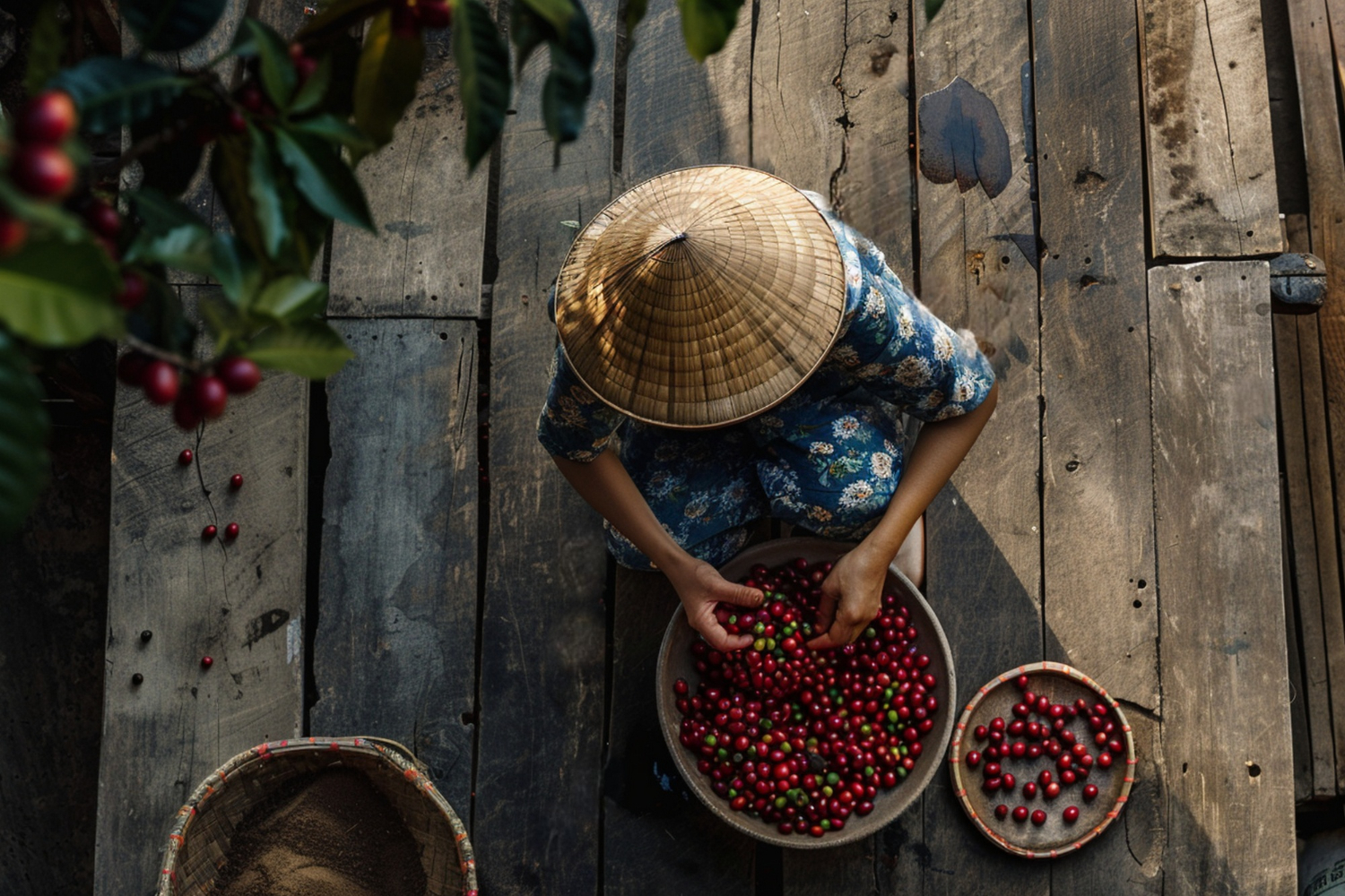 Cele mai apreciate cafele de origine din Guatemala