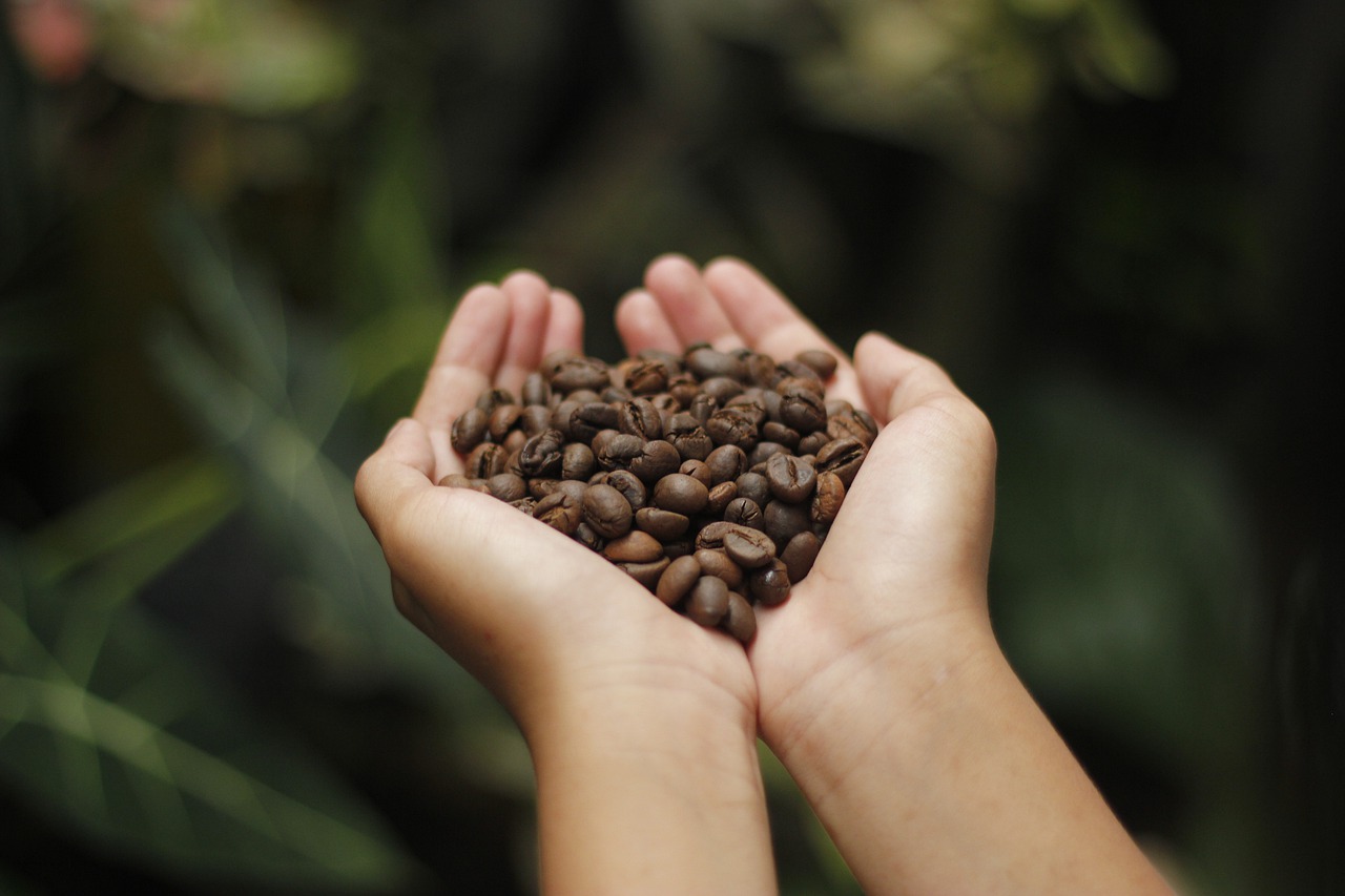 Cafeaua de specialitate – ce este și ce trebuie să știm despre ea
