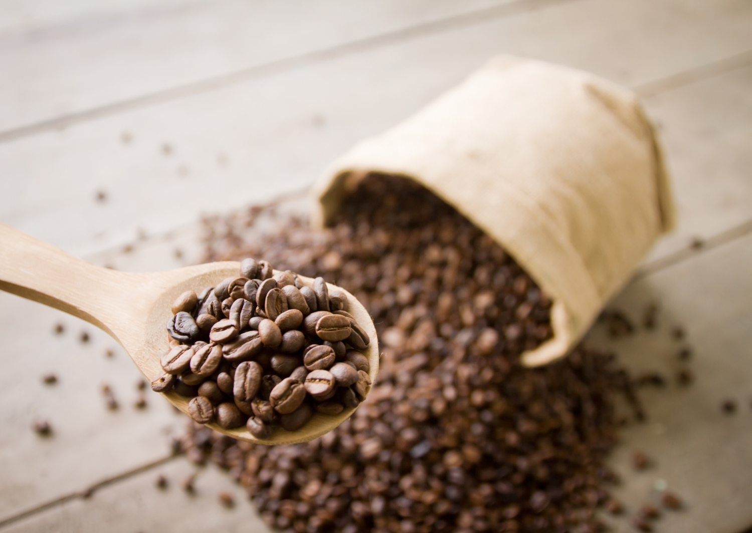 Cum influențează prăjirea proaspătă gustul cafelei de specialitate?