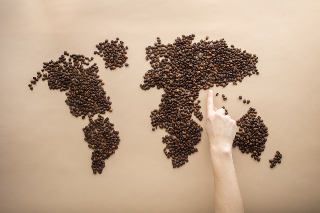 Top 10 cele mai exotice soiuri de cafea din lume