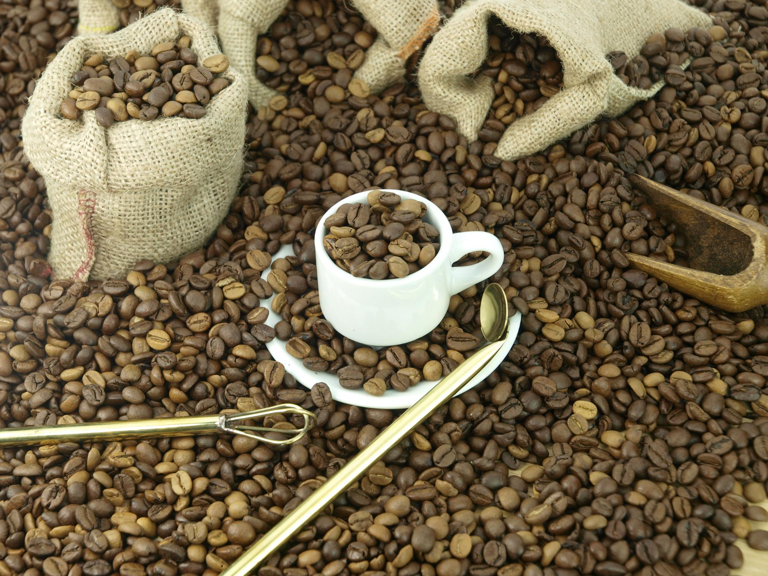 Cum să integrezi consumabile sustenabile în rutina ta de cafea