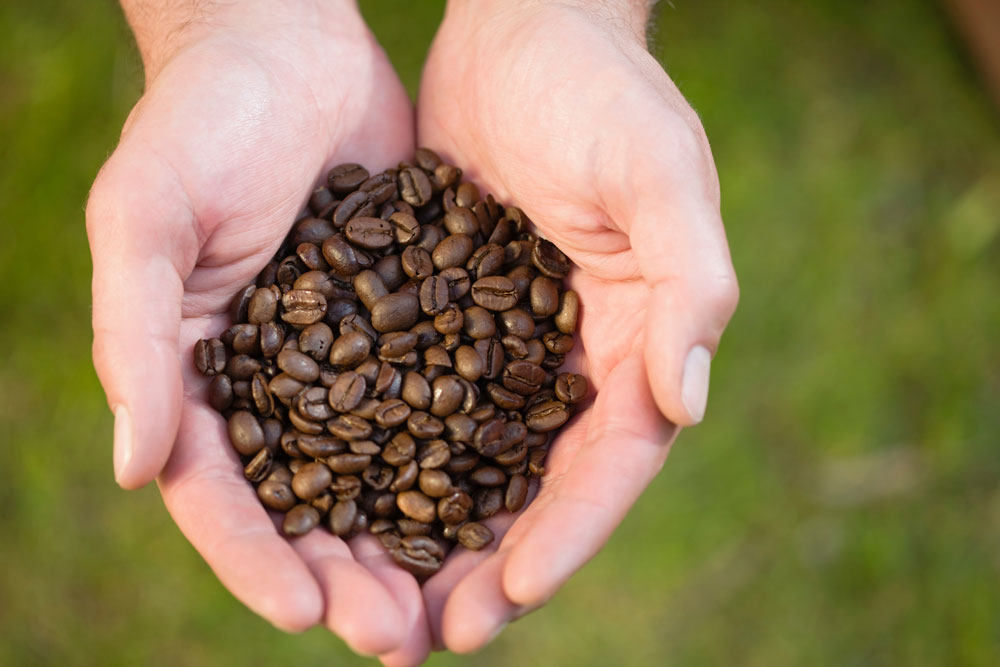 10 curiozități despre cafea pe care trebuie să le știi
