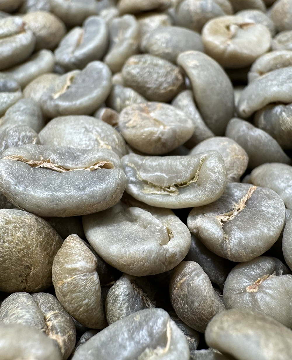 Fresso Costa Rica Tarrazu SHB cafea boabe verde de origine 250g [3]
